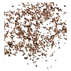 A pile of brown Garnet Sand seeds displayed on a clean white background.